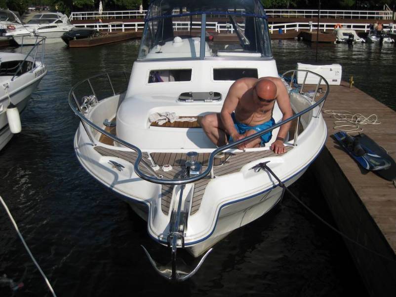 Тиковое дерево